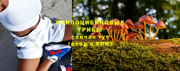 дурь Алзамай
