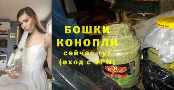 трава Пересвет